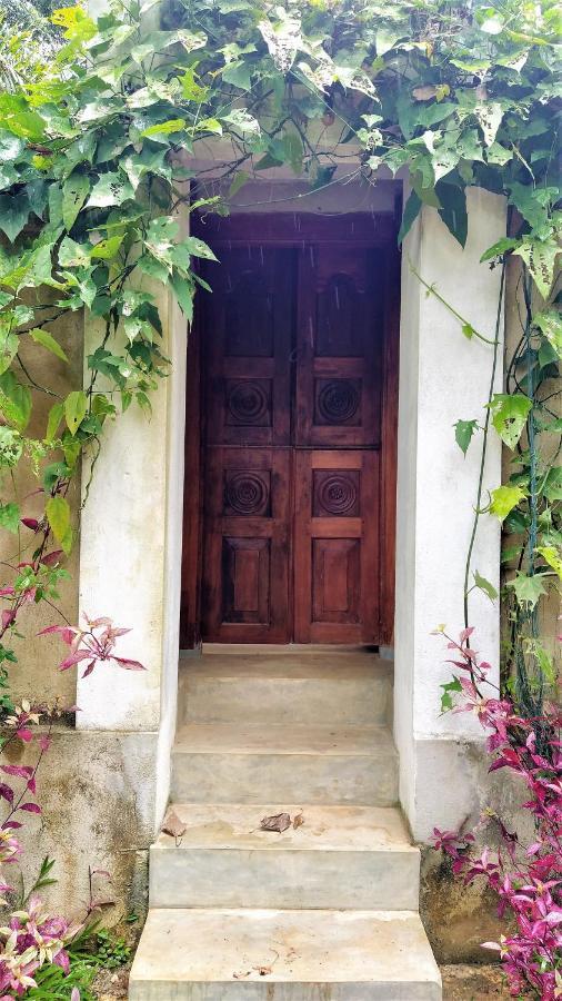 Sand Dollar House, Hiriketiya Dikwella Εξωτερικό φωτογραφία